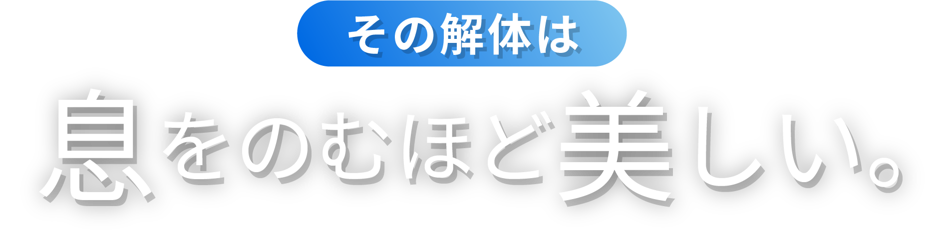 その解体は　息をのむほど美しい。